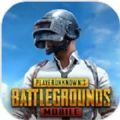 pubg mobile 2021官网版