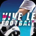 Vive le Football汉化版