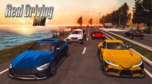 realdrivingsim汽车版ios游戏截图