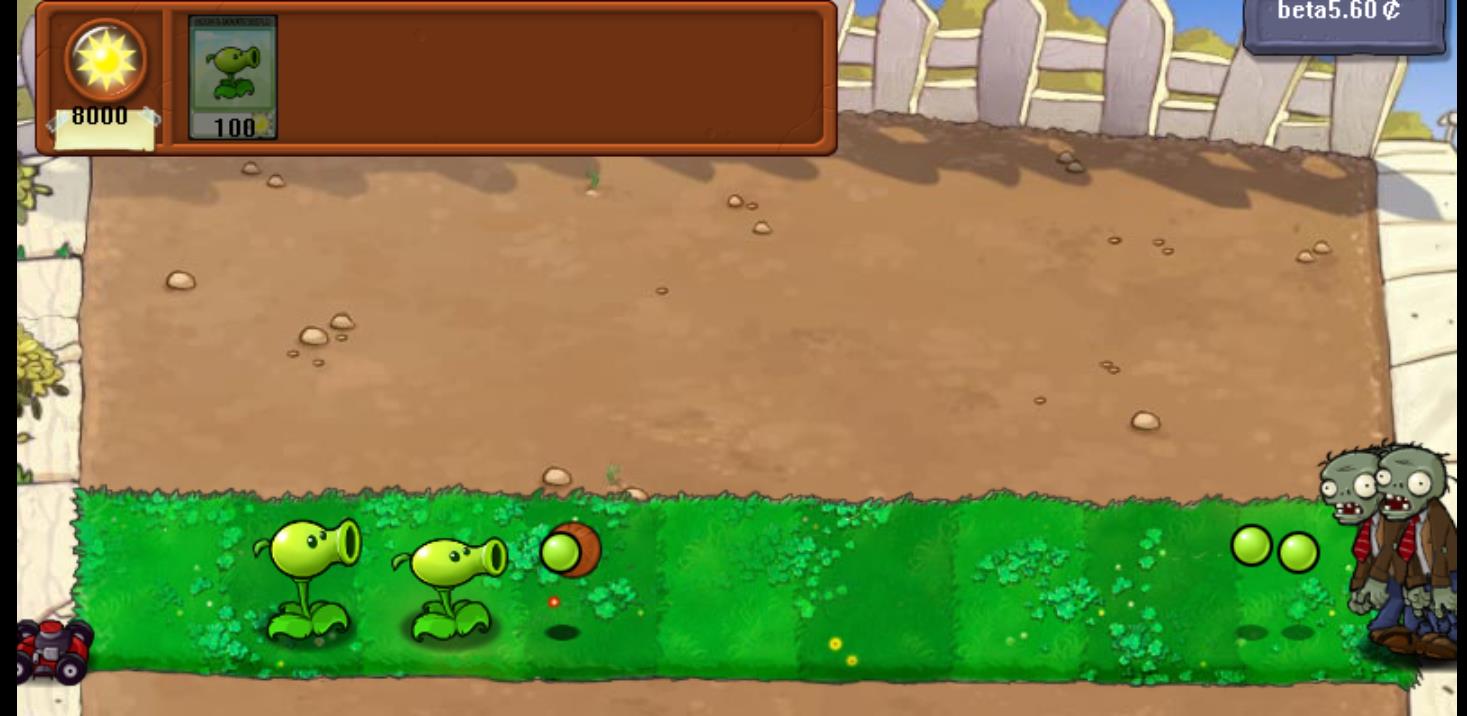 PVZ