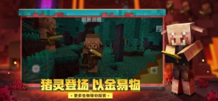 我的世界minecraft1.16正式版截图