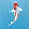 锦鲤水族馆安卓版v1.0