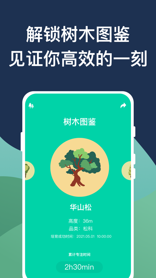 效率森林软件截图