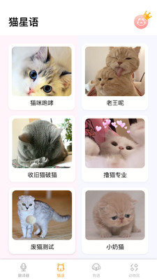 翻译猫语言翻译器免费版截图