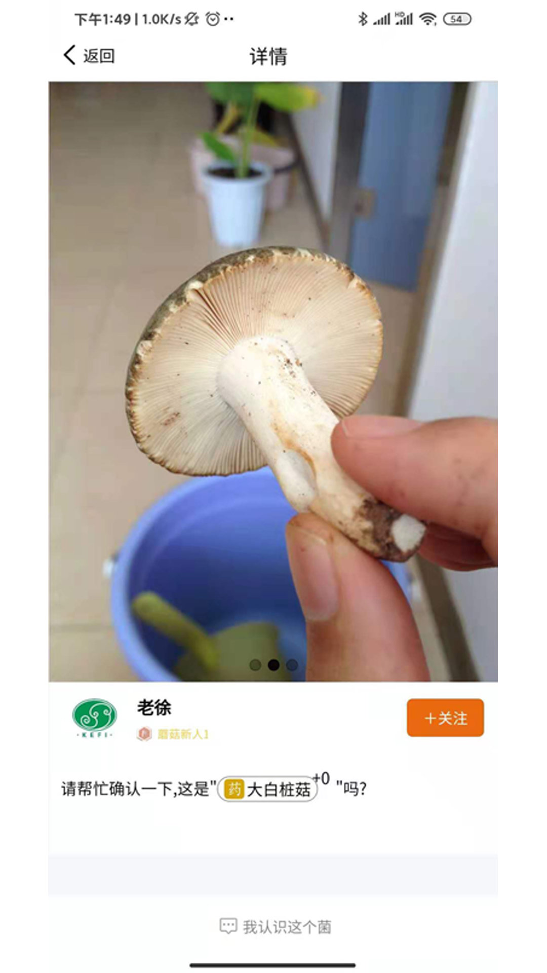 菌窝子安卓版软件截图