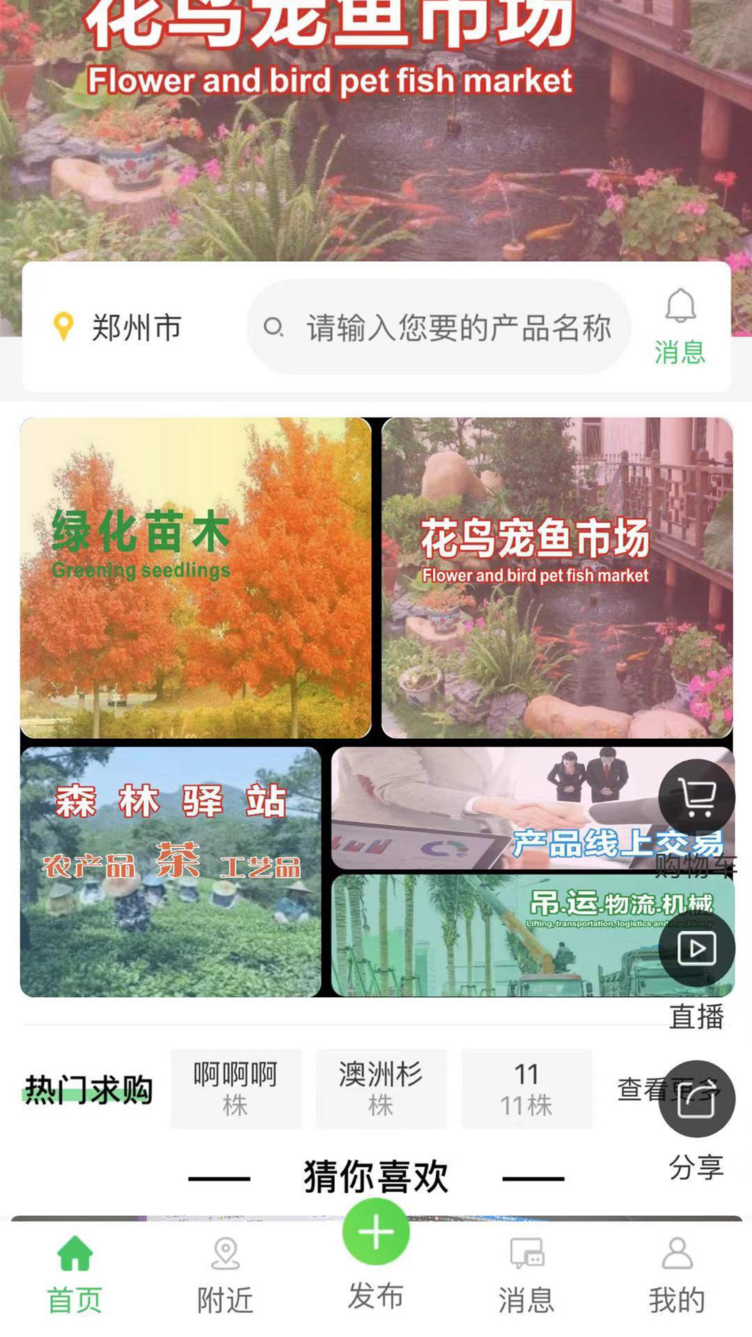 花木森林安卓版软件截图