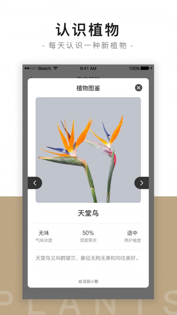 花田小憩app软件截图