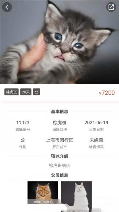 家连猫舍官方版软件截图