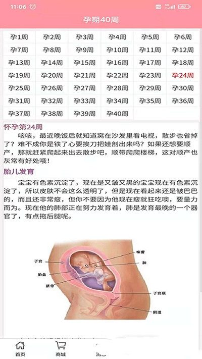 孕婴安安卓版软件截图