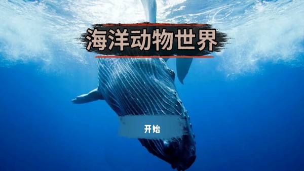 海洋动物世界安卓版游戏截图