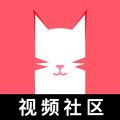 奶猫视频无限制观看破解版