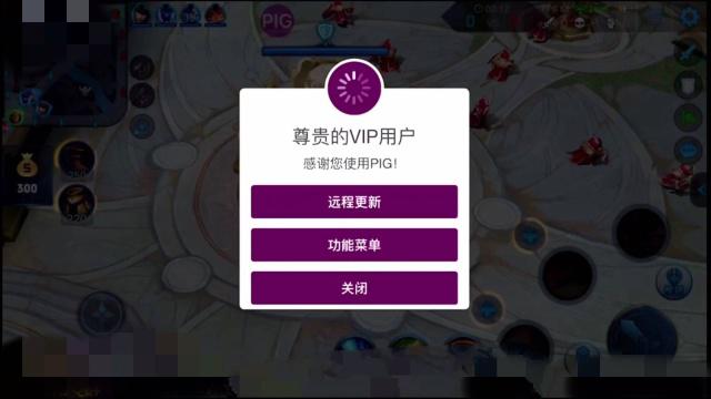 王者荣耀韩信辅助器免费版截图