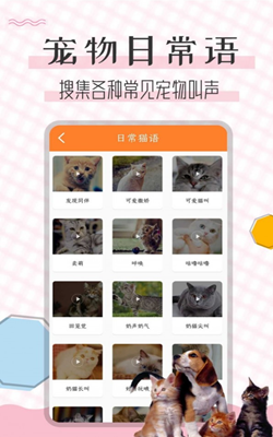 猫语翻译宝官方版截图