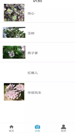 灵通植物最新版软件截图