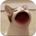 Pop cat meme安卓版v1.0