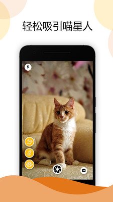 猫咪相机最新版软件截图