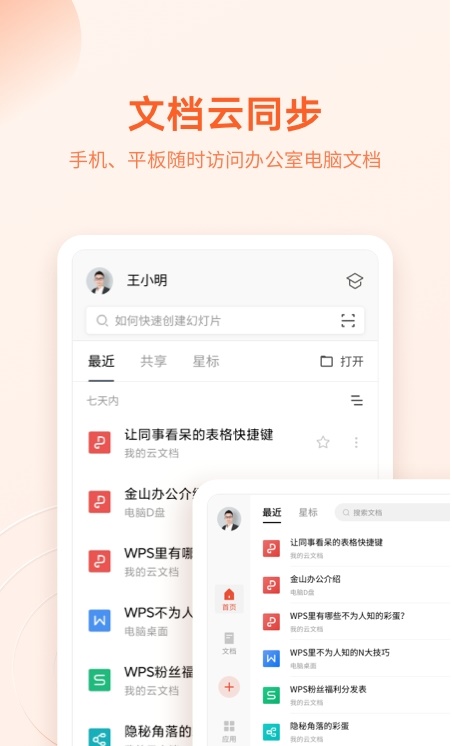 WPS Office纯净专业中文版软件截图