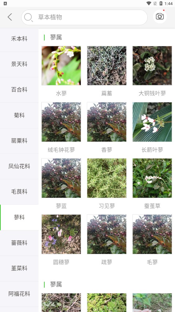 拍照识花安卓版软件截图