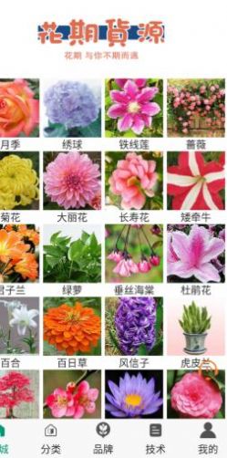 花期货源最新版软件截图