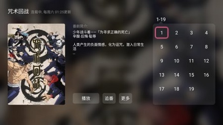 哔哩哔哩第三方TV版截图