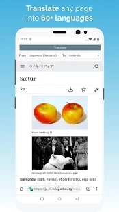 kiwi浏览器2022最新版截图