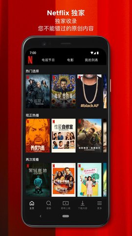 Netflixapk软件截图