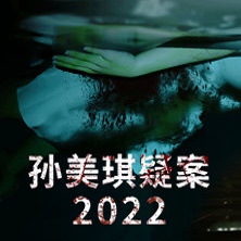 孙美琪疑案2022官网版