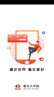 看见大字版客户端软件截图