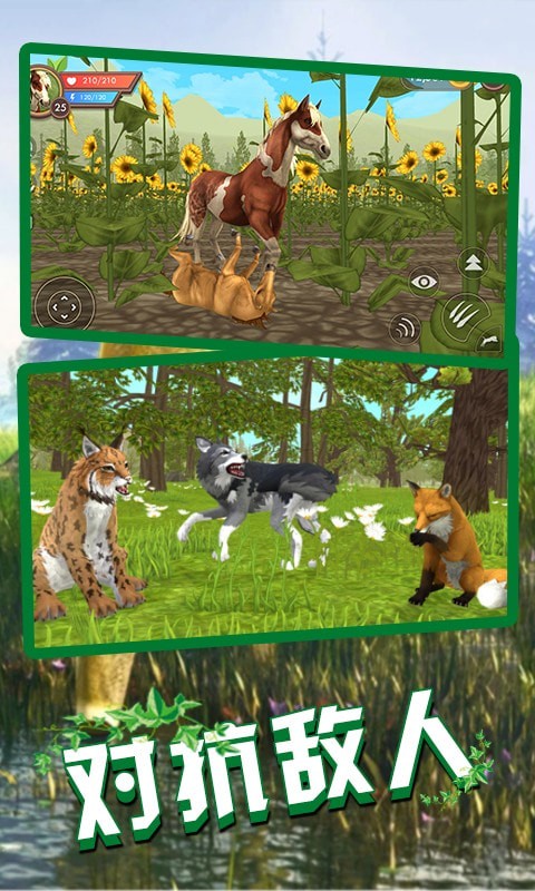 狼王狩猎模拟安卓版游戏截图
