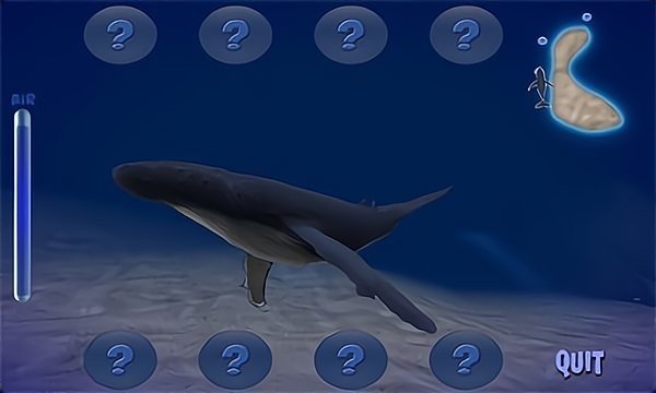 座头鲸模拟器3D安卓版游戏截图