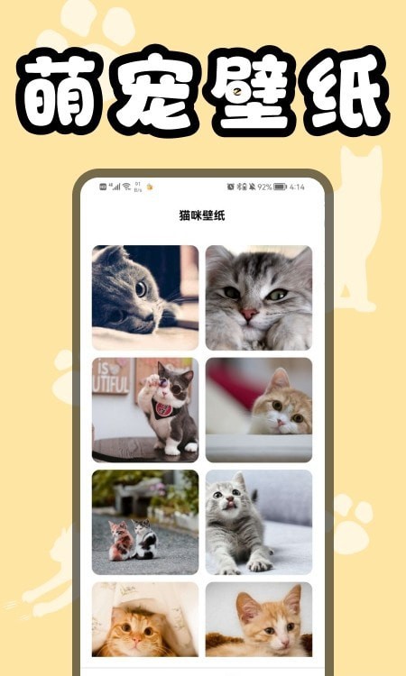 猫猫翻译器最新版截图