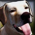 狗舍模拟器3D官网版v2.0